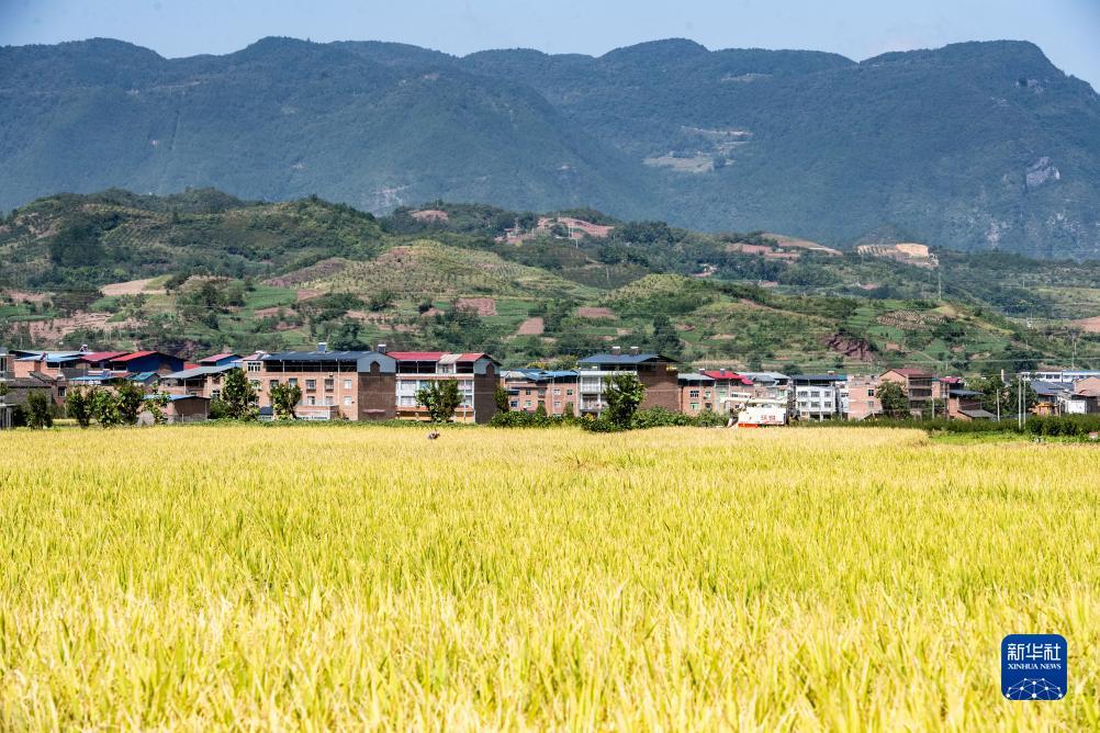 ebet厅